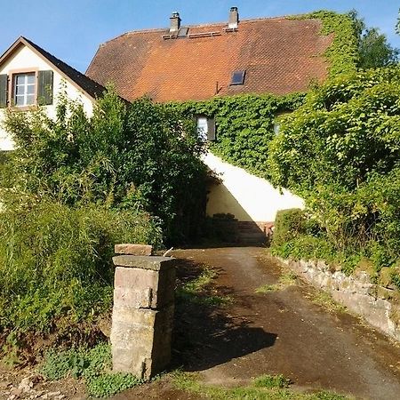Hotel Gastehaus Zum Alten Schulhaus Miltenberg Pokoj fotografie