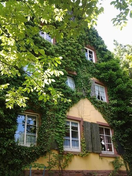 Hotel Gastehaus Zum Alten Schulhaus Miltenberg Pokoj fotografie