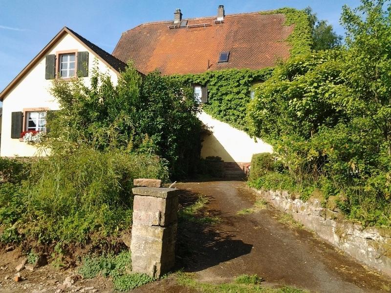 Hotel Gastehaus Zum Alten Schulhaus Miltenberg Pokoj fotografie