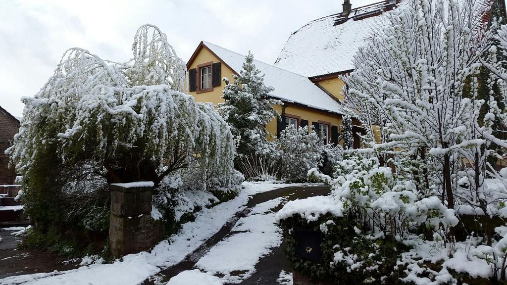 Hotel Gastehaus Zum Alten Schulhaus Miltenberg Exteriér fotografie